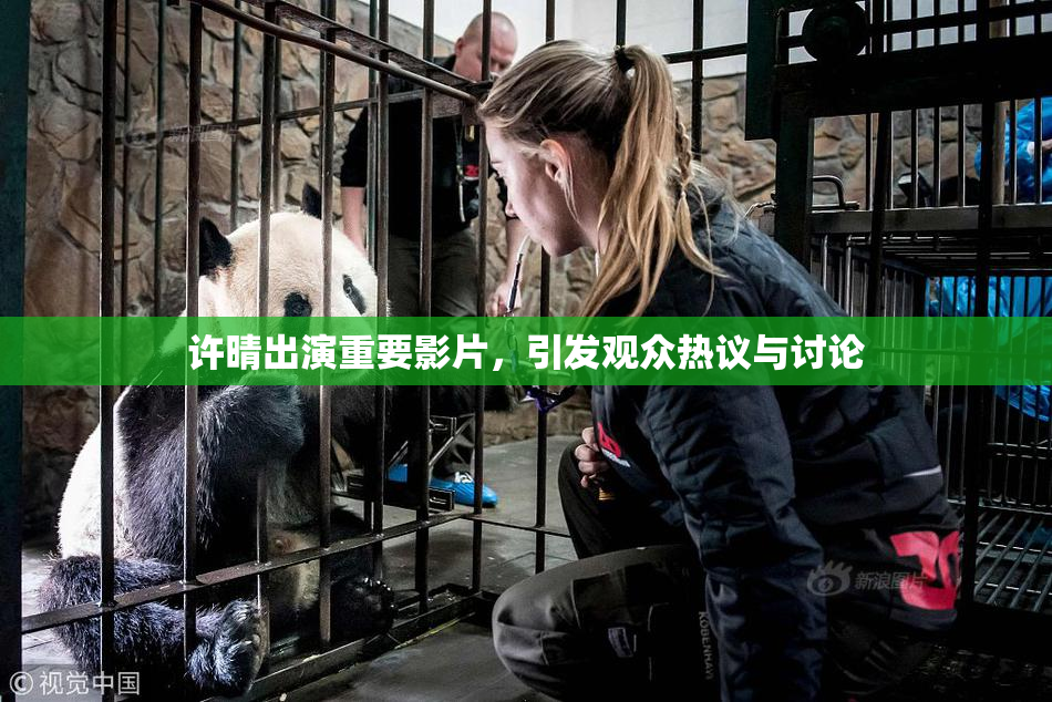 许晴出演重要影片，引发观众热议与讨论