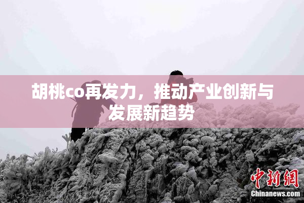 胡桃co再发力，推动产业创新与发展新趋势