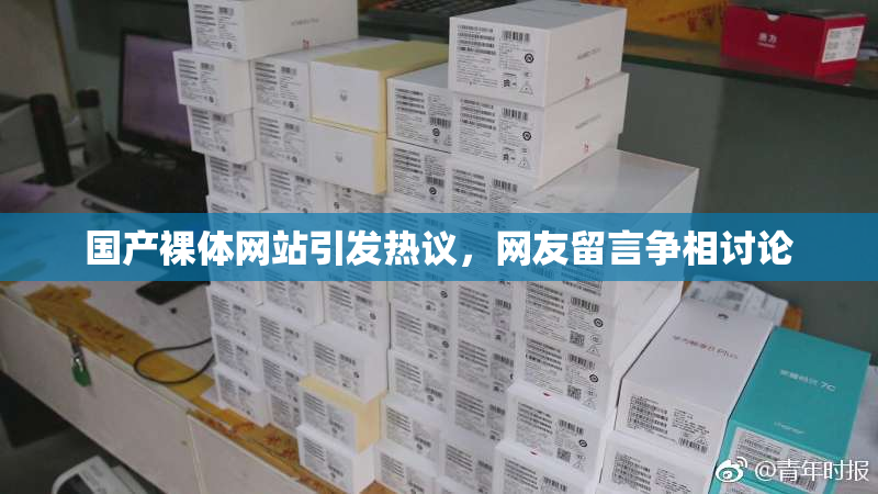 国产裸体网站引发热议，网友留言争相讨论