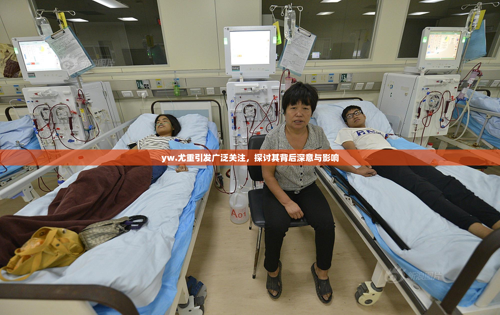 yw.尤重引发广泛关注，探讨其背后深意与影响