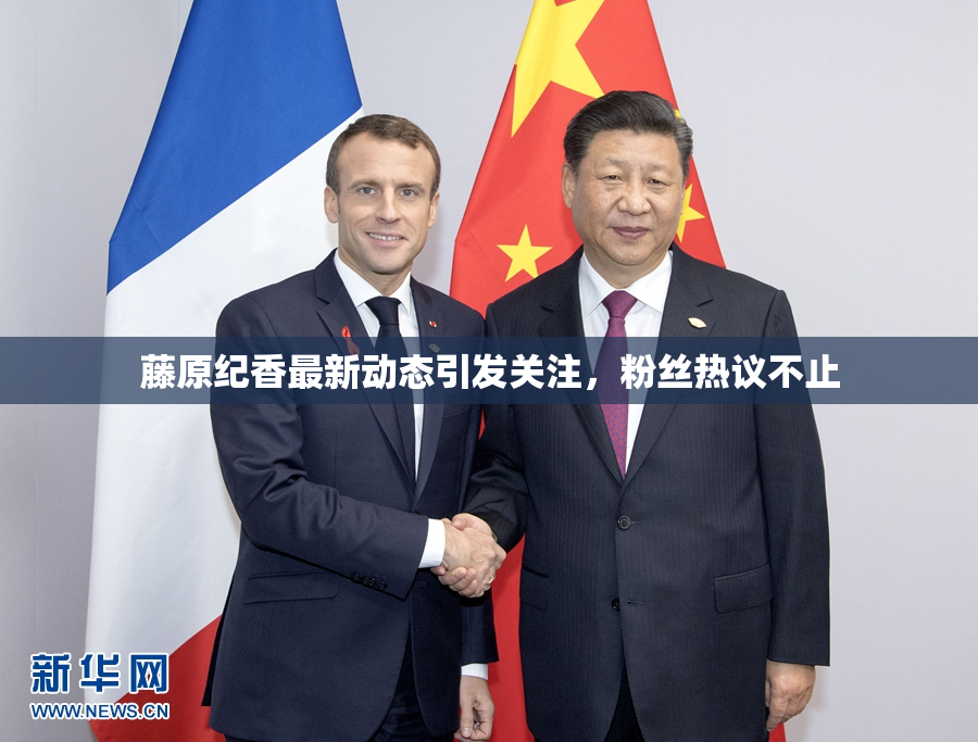 藤原纪香最新动态引发关注，粉丝热议不止