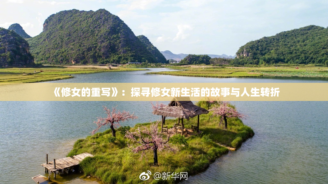 《修女的重写》：探寻修女新生活的故事与人生转折