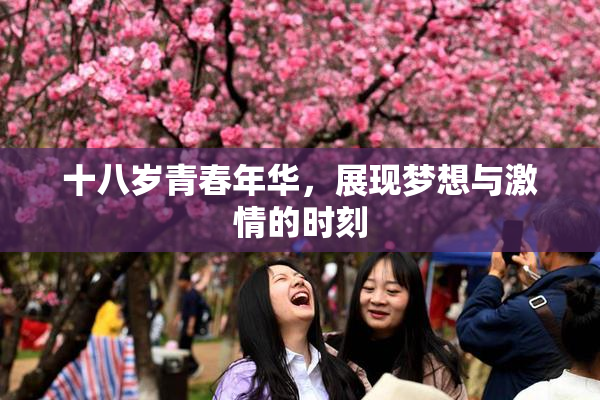十八岁青春年华，展现梦想与激情的时刻