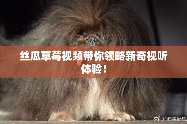 丝瓜草莓视频带你领略新奇视听体验！