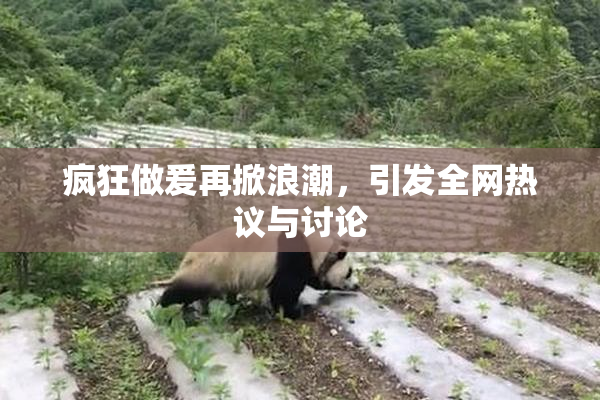 疯狂做爰再掀浪潮，引发全网热议与讨论