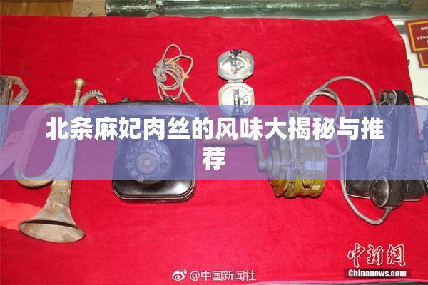 北条麻妃肉丝的风味大揭秘与推荐