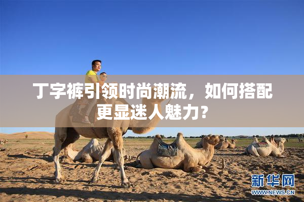 丁字裤引领时尚潮流，如何搭配更显迷人魅力？
