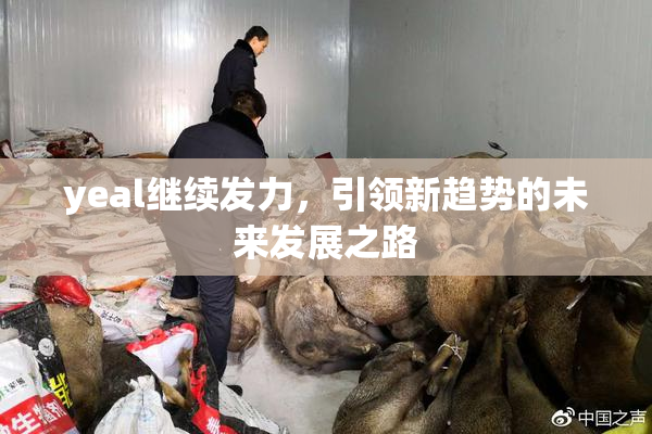 yeal继续发力，引领新趋势的未来发展之路