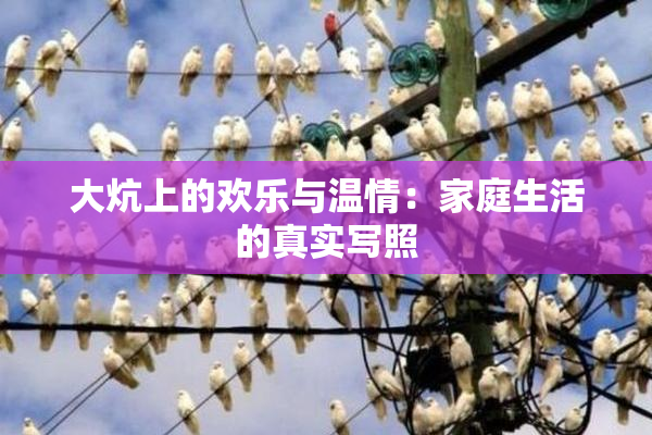 大炕上的欢乐与温情：家庭生活的真实写照