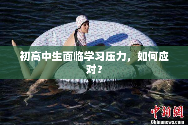 初高中生面临学习压力，如何应对？