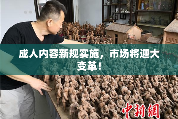 成人内容新规实施，市场将迎大变革！