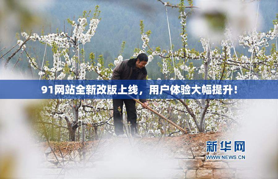 91网站全新改版上线，用户体验大幅提升！