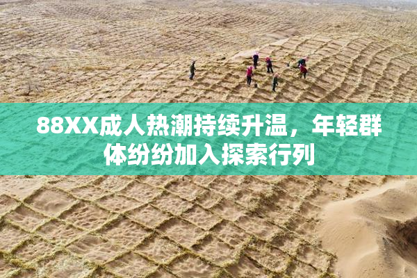 88XX成人热潮持续升温，年轻群体纷纷加入探索行列