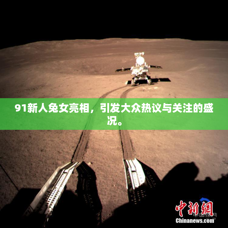 91新人兔女亮相，引发大众热议与关注的盛况。
