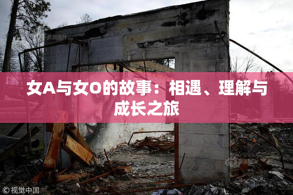 女A与女O的故事：相遇、理解与成长之旅