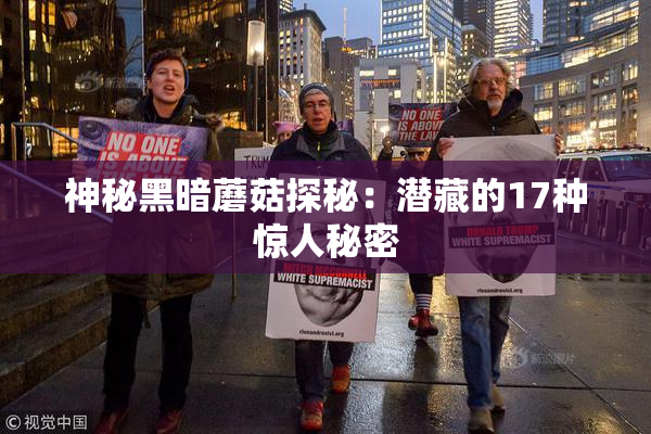 神秘黑暗蘑菇探秘：潜藏的17种惊人秘密