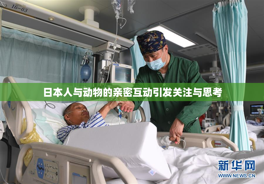 日本人与动物的亲密互动引发关注与思考
