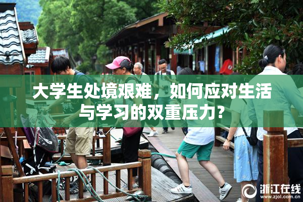大学生处境艰难，如何应对生活与学习的双重压力？