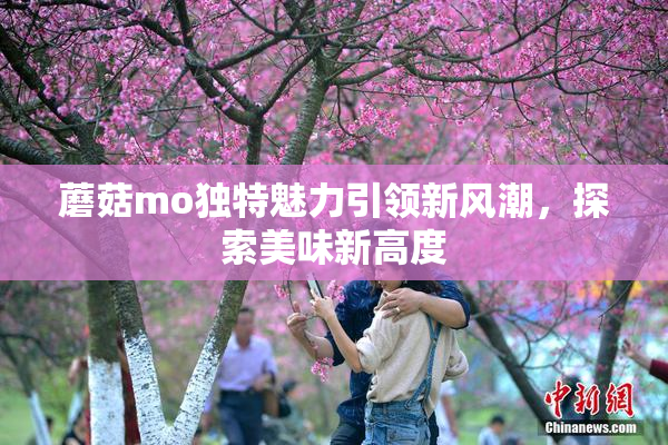 蘑菇mo独特魅力引领新风潮，探索美味新高度