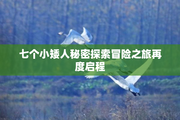 七个小矮人秘密探索冒险之旅再度启程