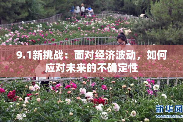 9.1新挑战：面对经济波动，如何应对未来的不确定性