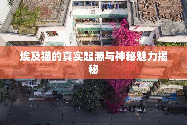 埃及猫的真实起源与神秘魅力揭秘