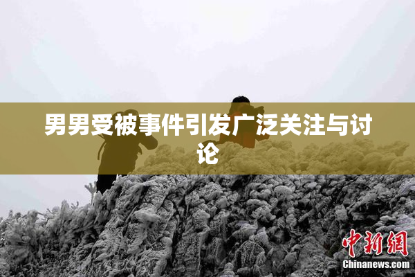 男男受被事件引发广泛关注与讨论