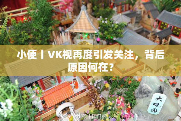 小便丨VK视再度引发关注，背后原因何在？
