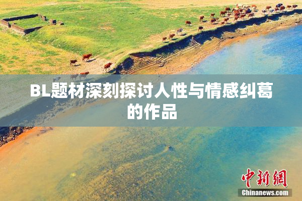 BL题材深刻探讨人性与情感纠葛的作品