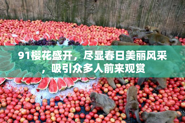 91樱花盛开，尽显春日美丽风采，吸引众多人前来观赏