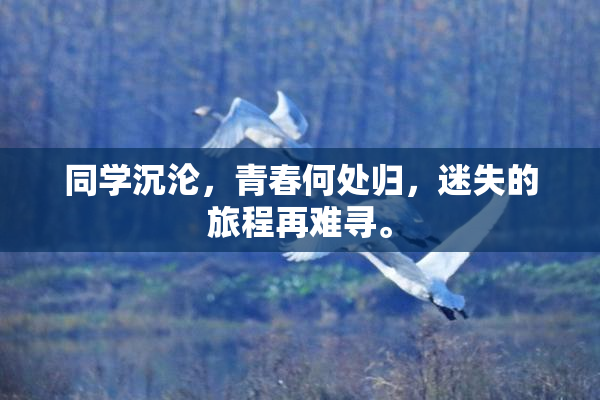 同学沉沦，青春何处归，迷失的旅程再难寻。