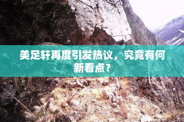 美足轩再度引发热议，究竟有何新看点？