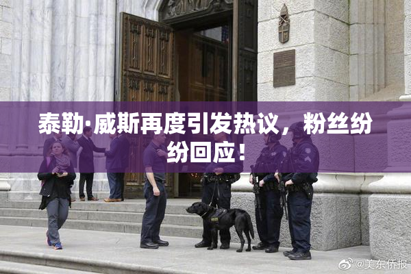 泰勒·威斯再度引发热议，粉丝纷纷回应！