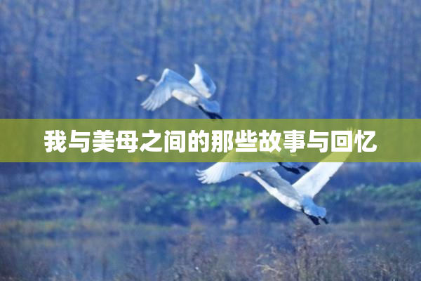 我与美母之间的那些故事与回忆