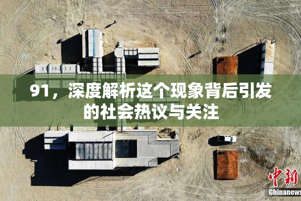 91，深度解析这个现象背后引发的社会热议与关注