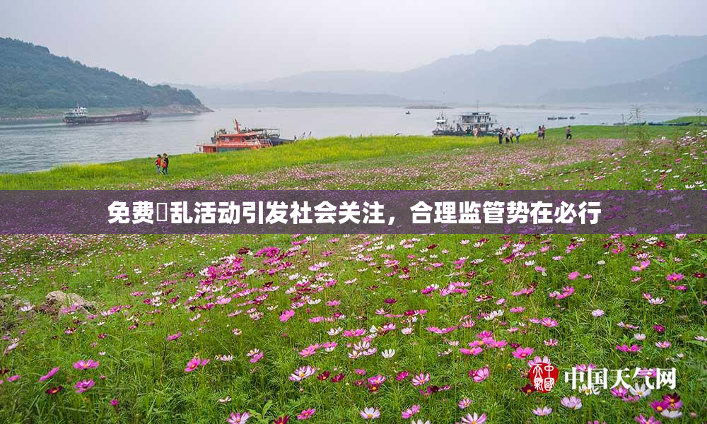 免费婬乱活动引发社会关注，合理监管势在必行