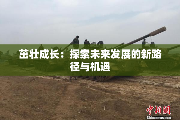 茁壮成长：探索未来发展的新路径与机遇