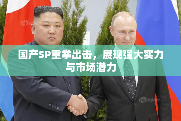 国产SP重拳出击，展现强大实力与市场潜力