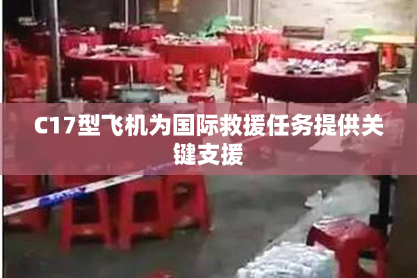 C17型飞机为国际救援任务提供关键支援