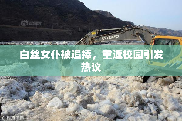 白丝女仆被追捧，重返校园引发热议