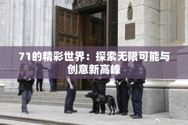 71的精彩世界：探索无限可能与创意新高峰