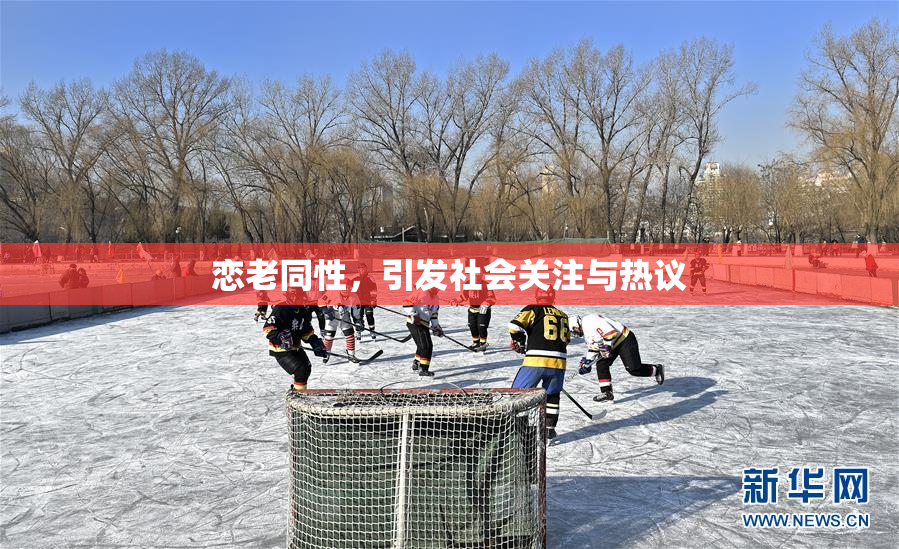 恋老同性，引发社会关注与热议