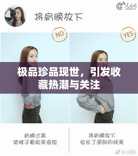 极品珍品现世，引发收藏热潮与关注