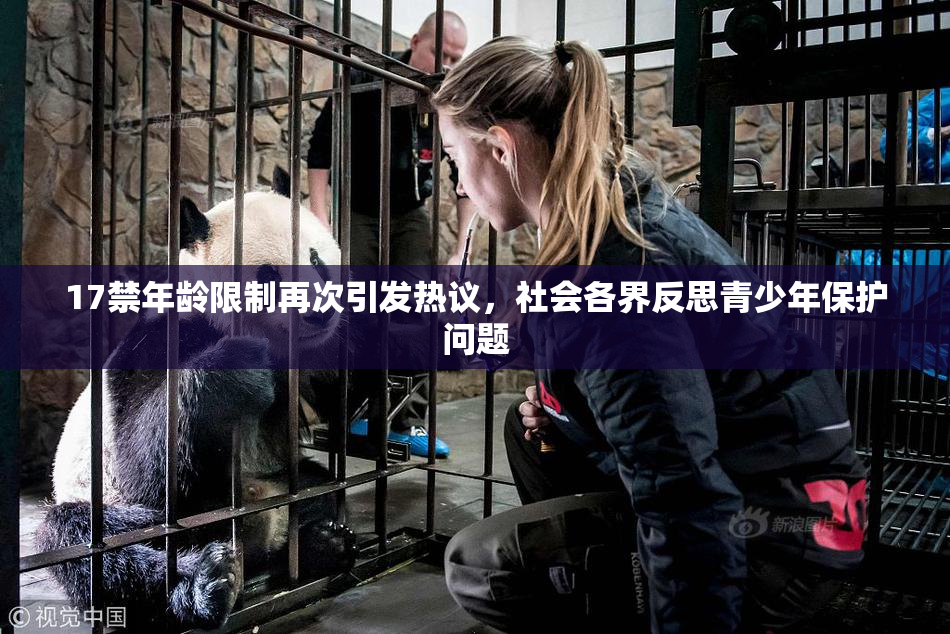 17禁年龄限制再次引发热议，社会各界反思青少年保护问题