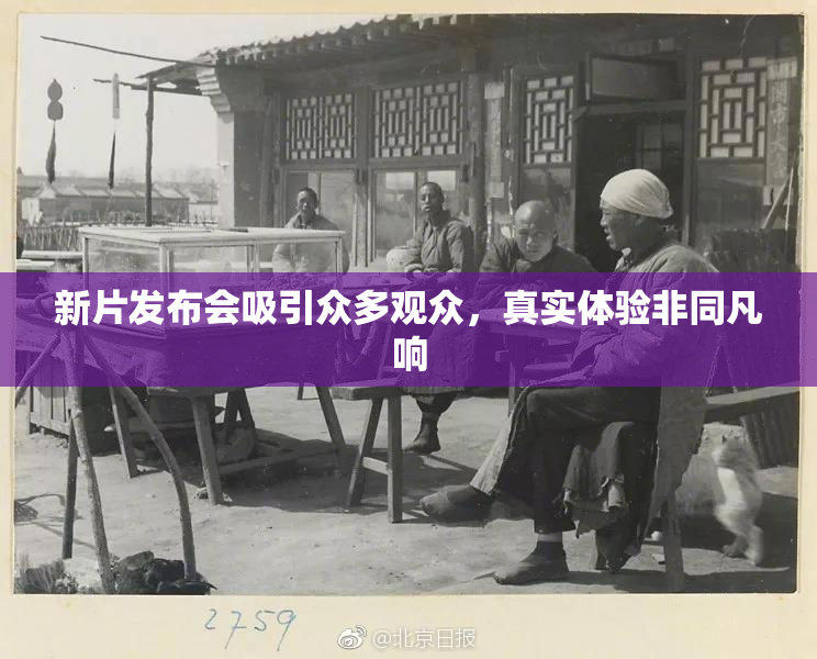 新片发布会吸引众多观众，真实体验非同凡响