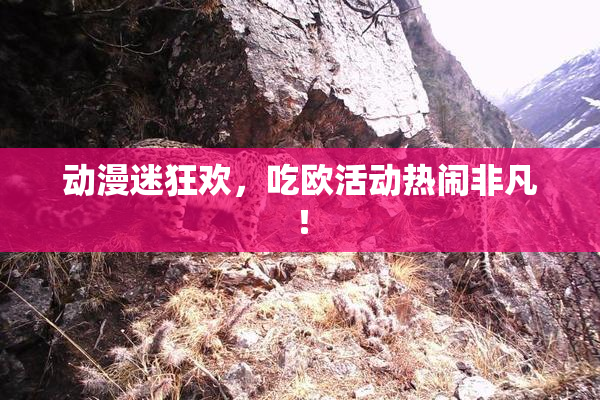 动漫迷狂欢，吃欧活动热闹非凡！