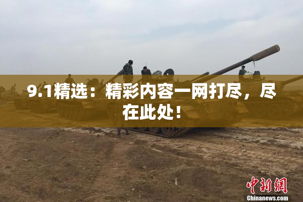9.1精选：精彩内容一网打尽，尽在此处！