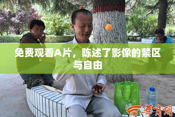 免费观看A片，陈述了影像的禁区与自由