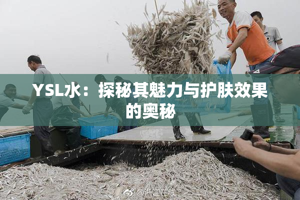 YSL水：探秘其魅力与护肤效果的奥秘