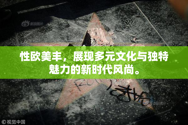 性欧美丰，展现多元文化与独特魅力的新时代风尚。